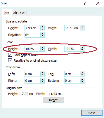Dialog box which opens when you right click on an image and select 'Size' from the drop down box